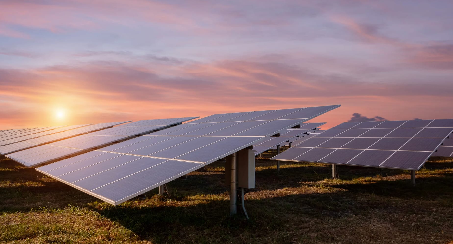 Solar Field